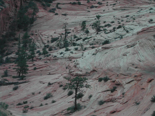 utah - zion national park