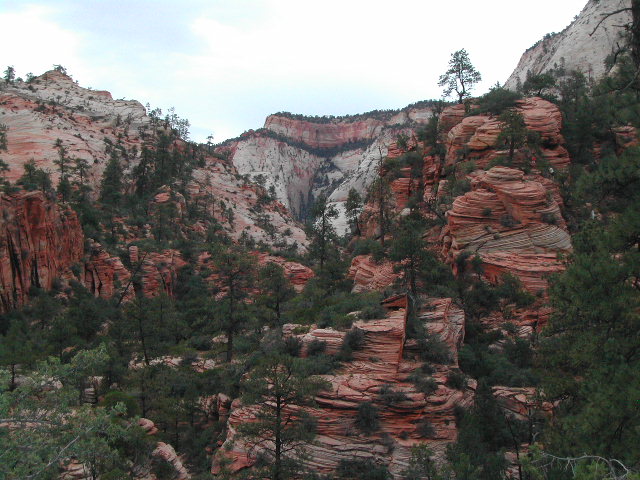 utah - zion national park