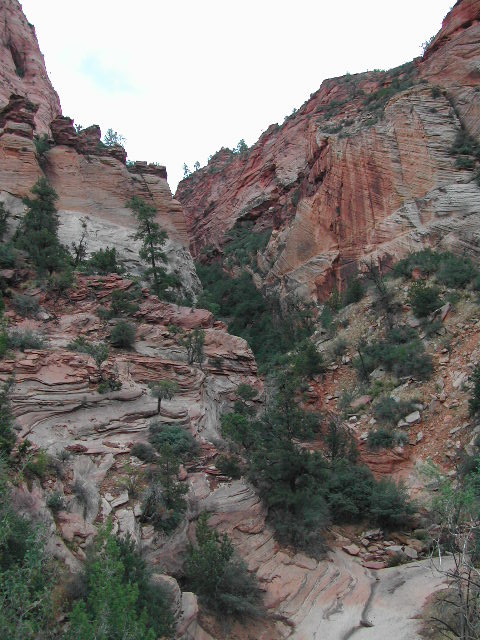 utah - zion national park