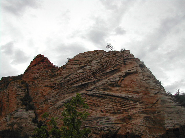 utah - zion national park