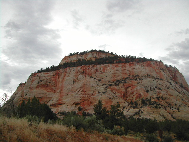 utah - zion national park