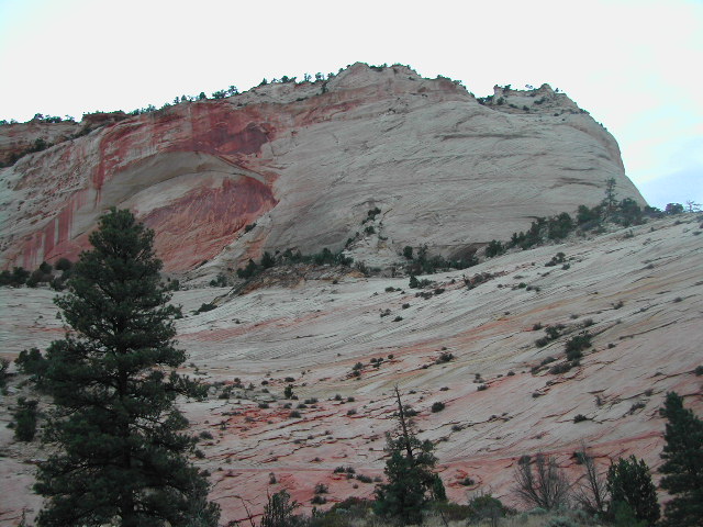 utah - zion national park