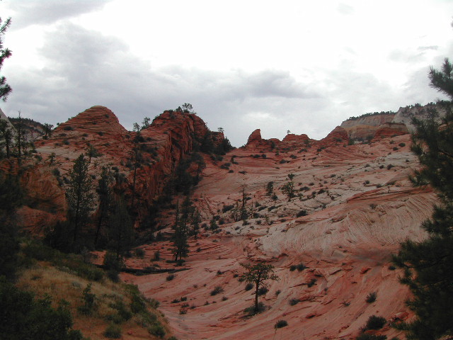 utah - zion national park