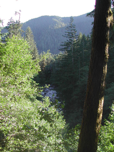 washington - olympic national park