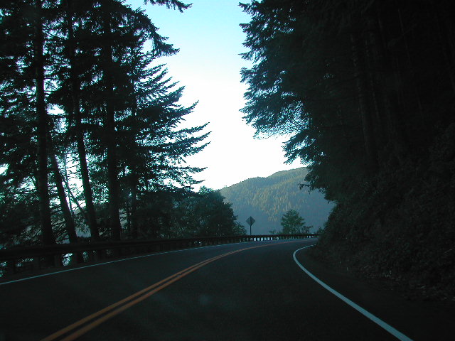 washington - olympic national park