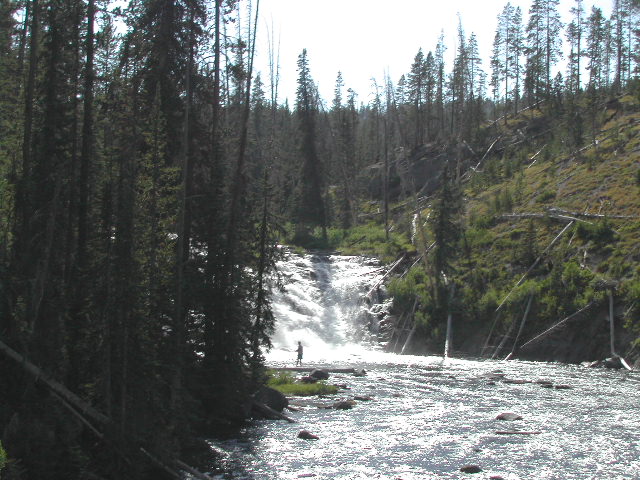 wyoming - yellowstone national park