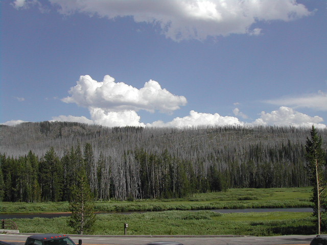 wyoming - yellowstone national park