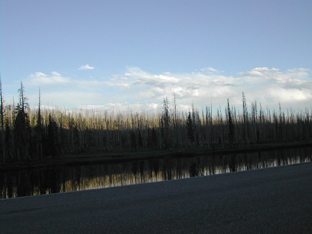 wyoming - yellowstone national park