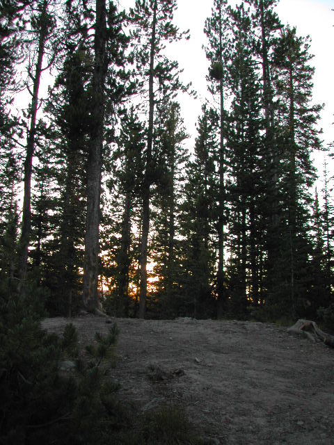 wyoming - yellowstone national park