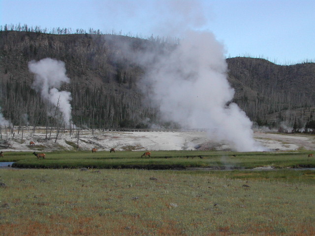 wyoming - yellowstone national park