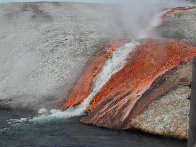 wyoming - yellowstone national park