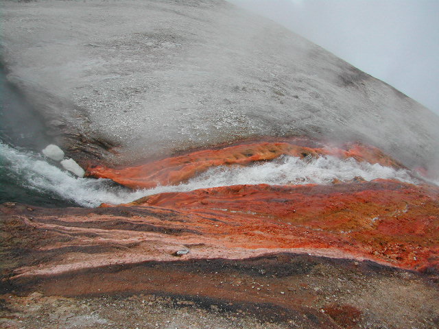 wyoming - yellowstone national park