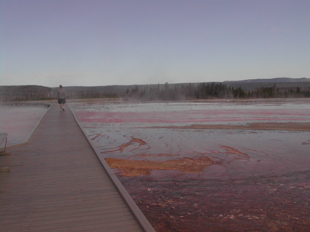 wyoming - yellowstone national park