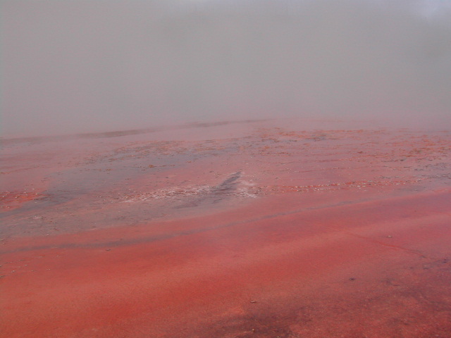 wyoming - yellowstone national park