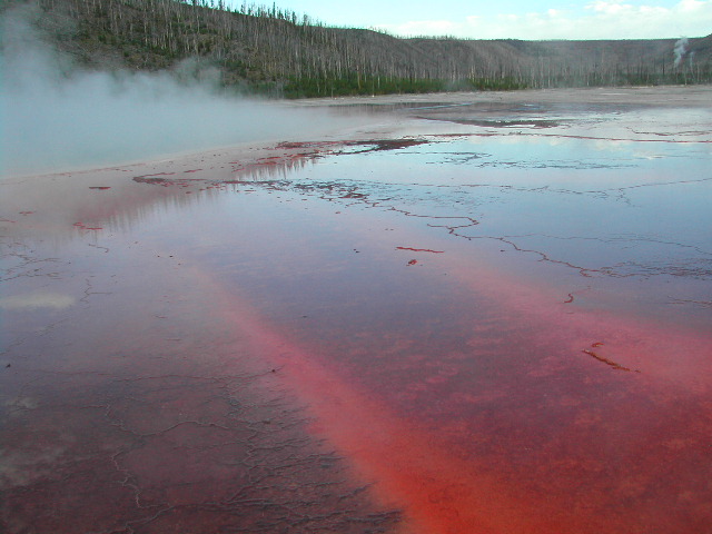 wyoming - yellowstone national park