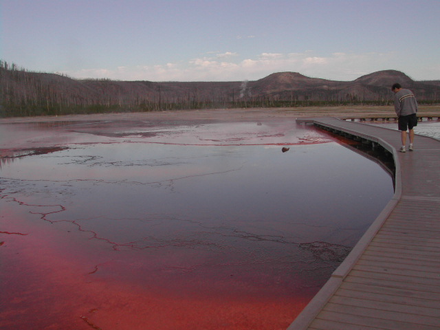 wyoming - yellowstone national park