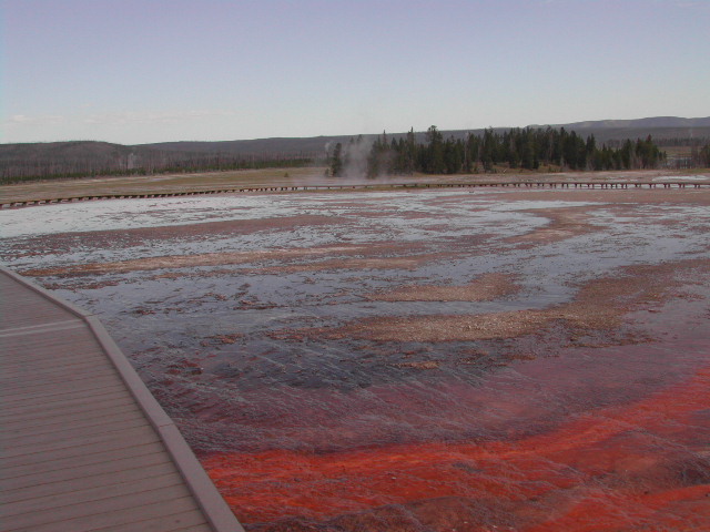 wyoming - yellowstone national park