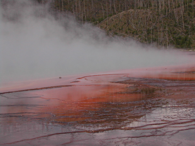 wyoming - yellowstone national park