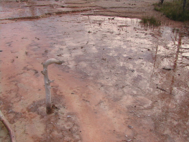 wyoming - yellowstone national park