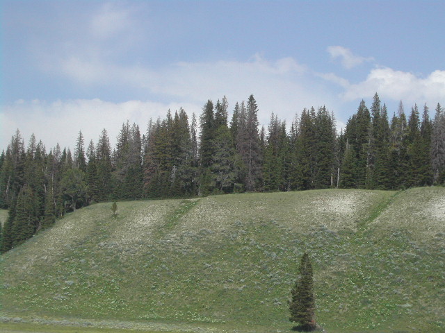 wyoming - yellowstone national park