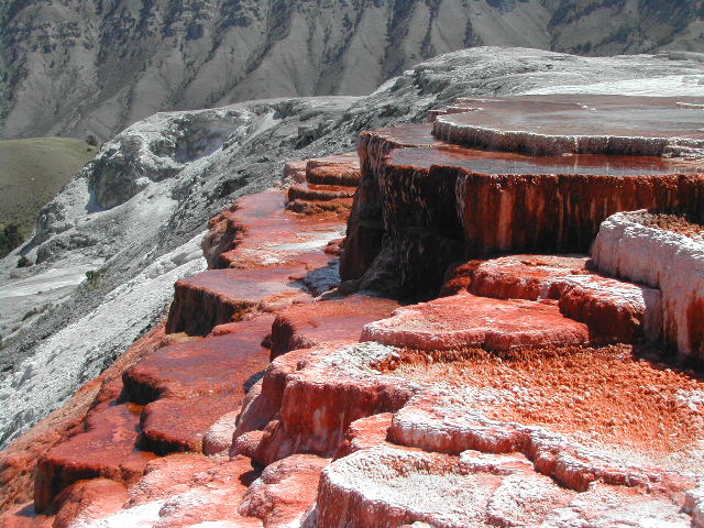 wyoming - yellowstone national park