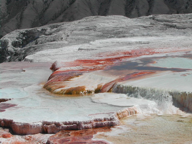 wyoming - yellowstone national park