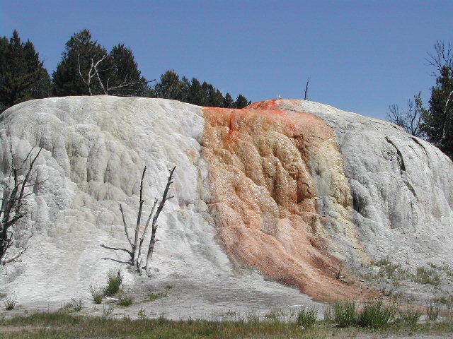 wyoming - yellowstone national park